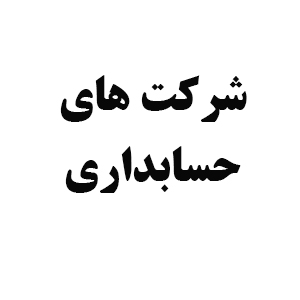 شرکت های حسابداری
